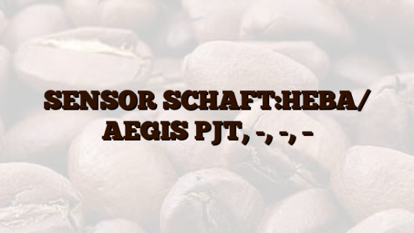 SENSOR SCHAFT:HEBA/ AEGIS PJT, -, -, –