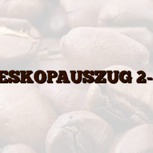 TELESKOPAUSZUG 2-FAC