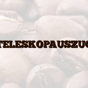 TELESKOPAUSZUG