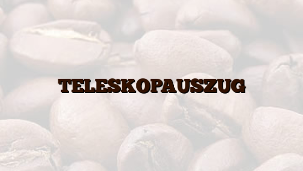 TELESKOPAUSZUG