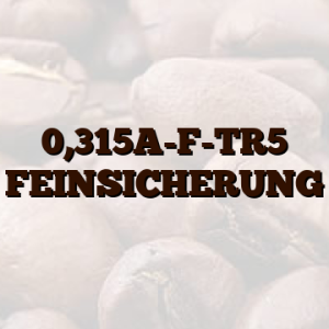 0,315A-F-TR5 FEINSICHERUNG