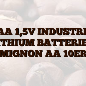 10AA  1,5V INDUSTRIAL LITHIUM BATTERIEN MIGNON AA 10ER