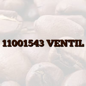 11001543  VENTIL