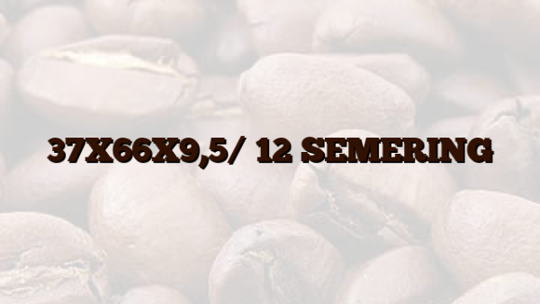 37X66X9,5/ 12 SEMERING