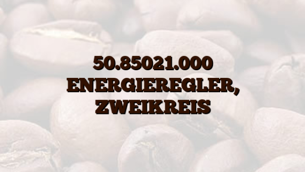 50.85021.000  ENERGIEREGLER,  ZWEIKREIS