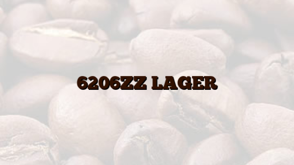 6206ZZ LAGER