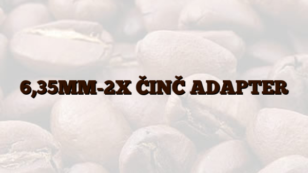 6,35MM-2X ČINČ ADAPTER