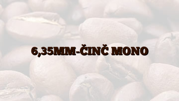 6,35MM-ČINČ MONO
