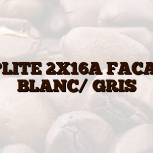 BIPLITE 2X16A FACADE BLANC/ GRIS