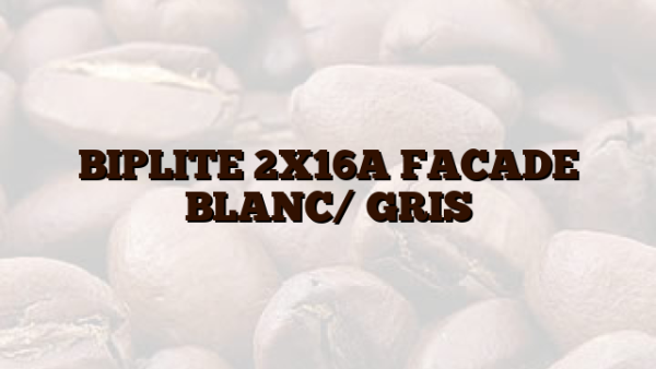BIPLITE 2X16A FACADE BLANC/ GRIS
