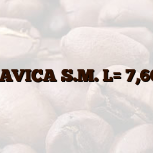 BRAVICA S.M. L= 7,6CM