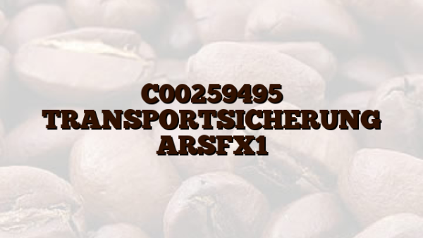 C00259495  TRANSPORTSICHERUNG ARSFX1