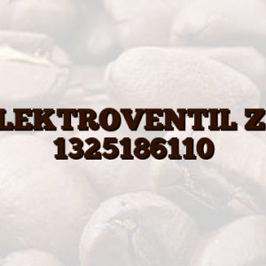 ELEKTROVENTIL ZA 1325186110