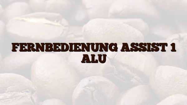 FERNBEDIENUNG ASSIST 1 ALU
