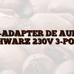 FIX-ADAPTER DE AUF CH SCHWARZ 230V 3-POLIG