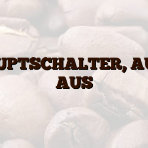HAUPTSCHALTER, AUTO AUS