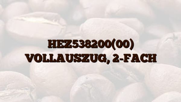 HEZ538200(00)  VOLLAUSZUG,  2-FACH