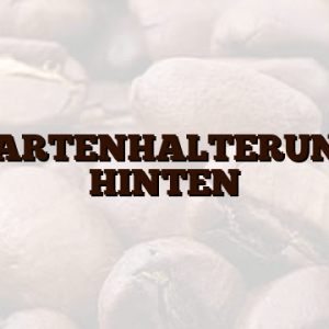 KARTENHALTERUNG HINTEN