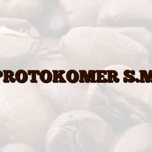 PROTOKOMER S.M.