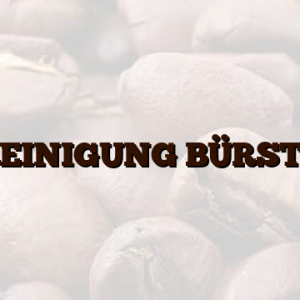 REINIGUNG BÜRSTE
