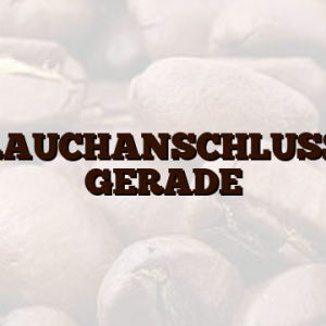 SCHLAUCHANSCHLUSS IG 1   GERADE