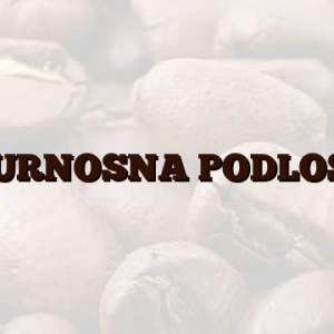 SIGURNOSNA PODLOSKA