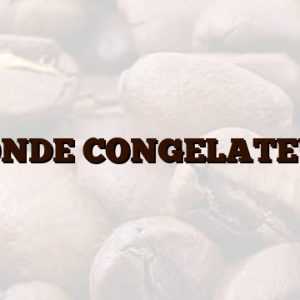 SONDE CONGELATEUR