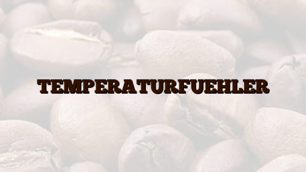TEMPERATURFUEHLER