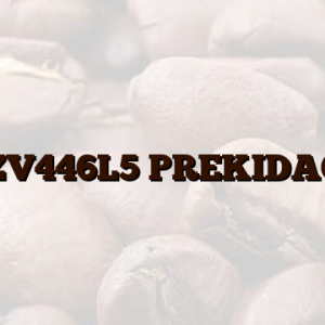 ZV446L5  PREKIDAČ