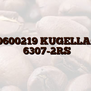 0020600219  KUGELLAGER （6307-2RS）