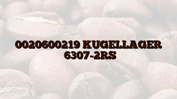 0020600219  KUGELLAGER （6307-2RS）