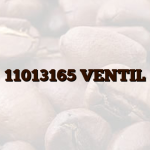 11013165  VENTIL
