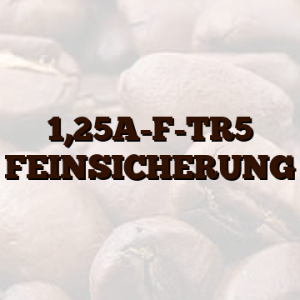 1,25A-F-TR5 FEINSICHERUNG