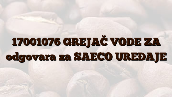17001076  GREJAČ VODE ZA odgovara za SAECO UREĐAJE
