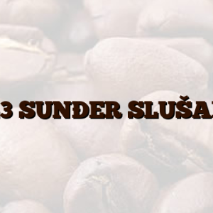 19543 SUNÐER SLUŠALICE