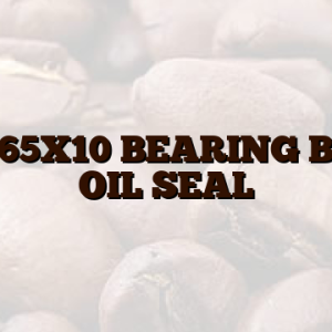 40X65X10  BEARING BALL OIL SEAL