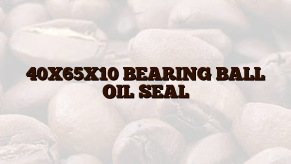 40X65X10  BEARING BALL OIL SEAL