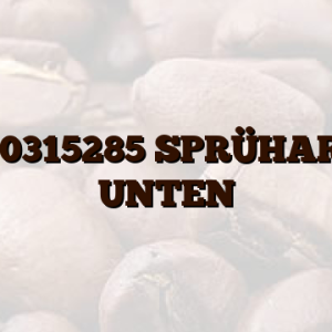 C00315285  SPRÜHARM UNTEN