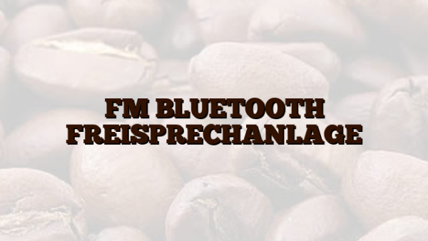 FM BLUETOOTH FREISPRECHANLAGE