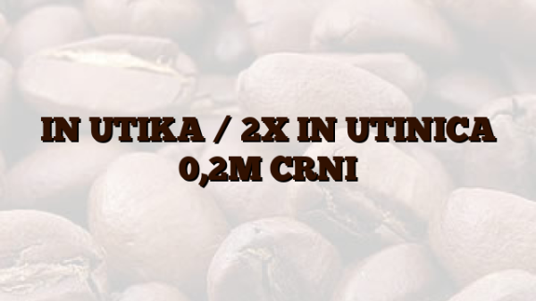 IN UTIKA /  2X IN UTINICA 0,2M CRNI
