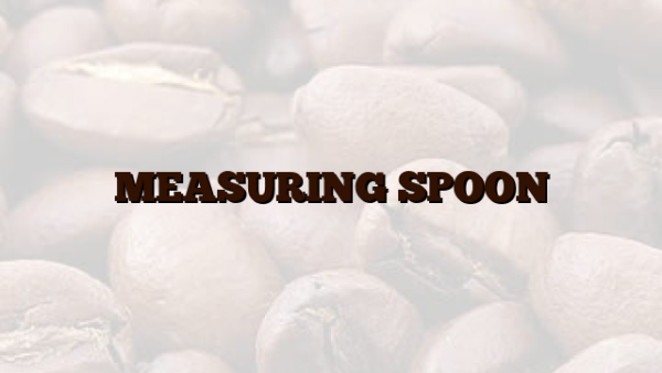 MEASURING SPOON
