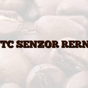 NTC SENZOR RERNE