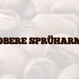 OBERE SPRÜHARM