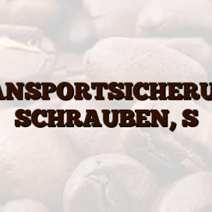 TRANSPORTSICHERUNG, SCHRAUBEN, S