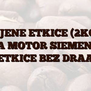 UGLJENE ETKICE (2KOM.) ZA MOTOR SIEMENS,  ETKICE BEZ DRAA