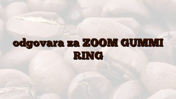 odgovara za ZOOM  GUMMI RING