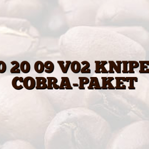 00 20 09 V02 KNIPEX COBRA-PAKET