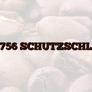 09555756 SCHUTZSCHLAUCH
