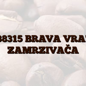 1038315 BRAVA VRATA ZAMRZIVAČA