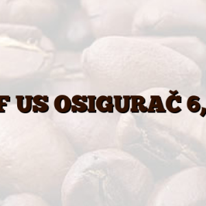 10A-F US OSIGURAČ 6,3X32